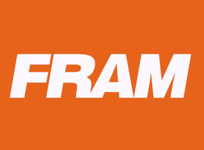 Fram Gasoline Fuel Filter - CG20