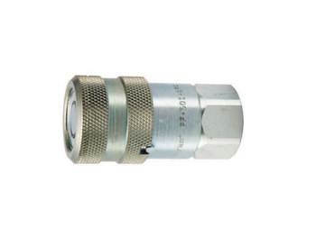 FF-501-8FP FF Series Coupler - Female Pipe