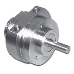 Stainless Steel Air Motors